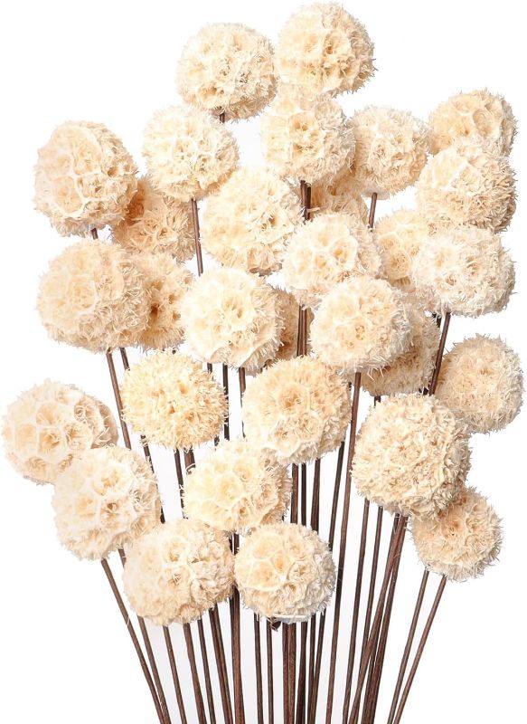 Photo 1 of 30 PCS Natural Dried Flowers Craspedia Billy Balls Flowers Dried Flowers Bouquet Wildflowers Floral Bouquet Boho Table Decor Dried Flowers for Vase Party DIY Home Decor (White)
