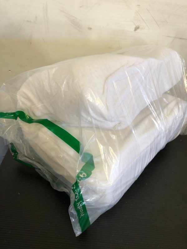 Photo 1 of Foam Pillow with  Washable Cover 24x15inch