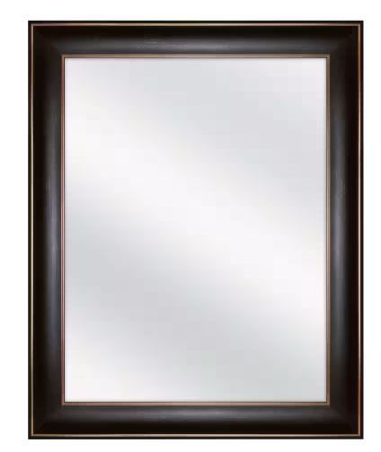Photo 1 of 24 in. W x 30 in. H Rectangular Medicine Cabinet with Mirror
