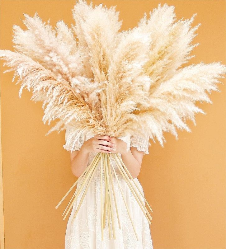 Photo 1 of 46" inch 10 Stems Natural Pampas Grass Decor Tall, pompas Grass, Tall Pampas Grass for Weddingm, Farmhouse, Boho Home Decor
