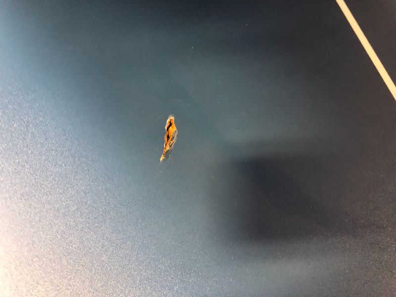 Photo 1 of GoSports Mid-Size Table Tennis Game Set - Indoor/Outdoor Portable Table Tennis Game with Net, 2 Table Tennis Paddles and 4 Balls Blue Table