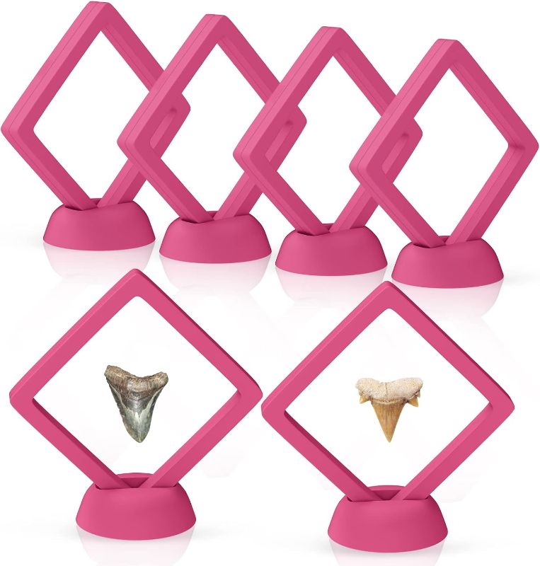 Photo 1 of 6 Pcs Display Case for Shark Teeth, Storage & Display Shark Teeth Fossil Necklaces Jewelry, Dustproof & Portable Display Stand Holder for Shark Teeth (Pink)
