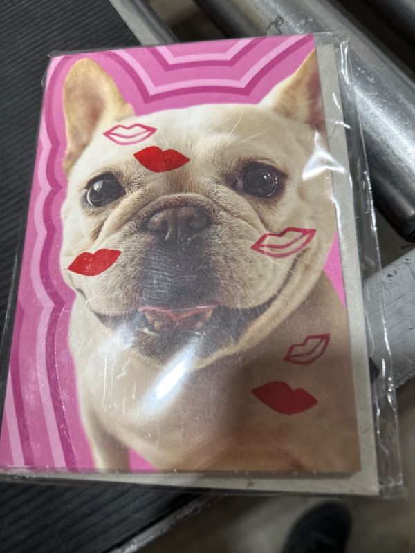 Photo 2 of Hallmark Pack of 4 Valentines Day Cards (French Bulldog Kisses) Smootch from a Pooch, 4 Cards with Envelopes