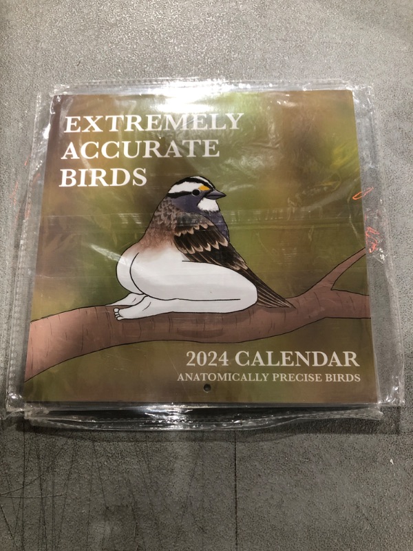 Photo 2 of 2024 Calendar Of Extremely Accurate Birds,2024 Birds Calendar Wall Calendar Jan 2024 - Dec 2024?Funny Birds Calendar Gag Gifts?Wall Art Gag Humor Gift for Friends (Extremely Accurate Birds)
