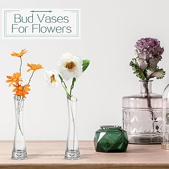 Photo 1 of 2 pack, Clear Tall Glass Bud Vases Bulk Single Stem Flower Glass Vase, (7.87"x 1.97")
