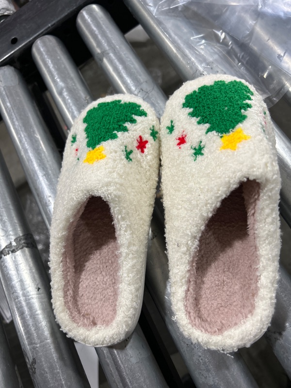 Photo 1 of CHRISTMAS SLIPPERS