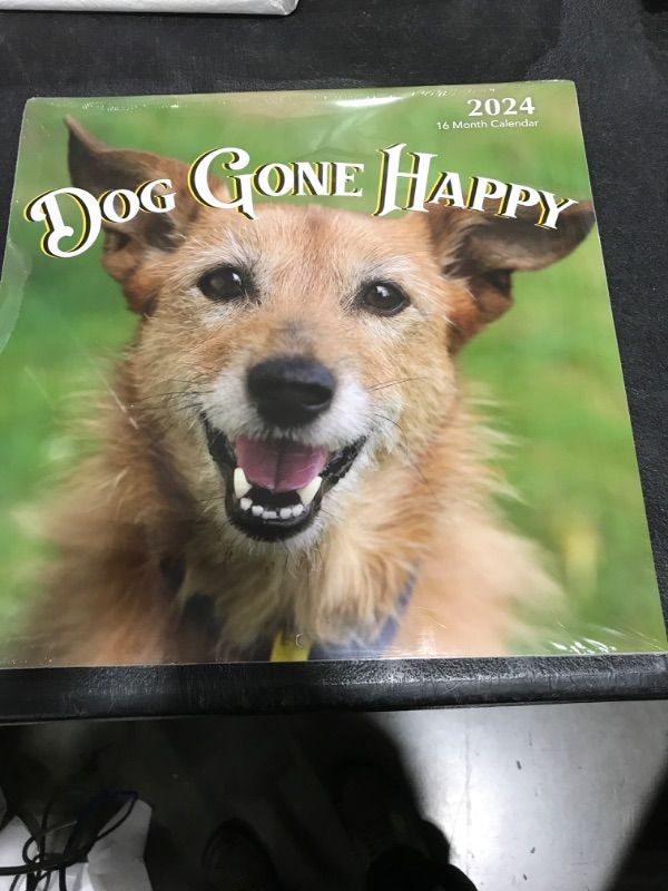 Photo 2 of 2024 Dog Gone Happy Hangable Wall Calendar - 12" x 12” - Smiling Cute Funny Puppies Photo Gift - Sturdy Thick Puppy Dogs Photography - Large Full Page 16 Months for Organizing & Planning