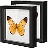 Photo 1 of 10"x10" Shadow Boxes Display Cases with Soft Linen Back Deep Wood Glass 3D Shadow Box Set for Wall and Tabletop Baby Sports, 2 Pack Black

