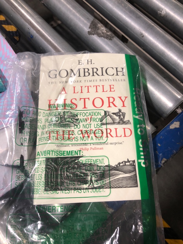 Photo 2 of (Paperback) [E. H. Gombrich] A Little History of The World (Little Histories)