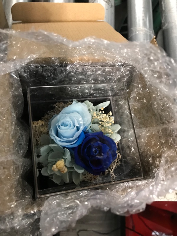 Photo 1 of SHOKUTO Preserved Rose