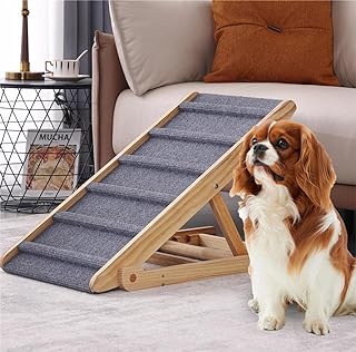 Photo 1 of (READ FULL POST) Dog Ramp,Portable Dog Pet Ramp for Car Bed Couch SUV, Dog Stairs for High Beds,Pet Stairs Ramp for Dogs to Get On Bed Couch Car SUV,Dog Ramps for Small and Old Dogs