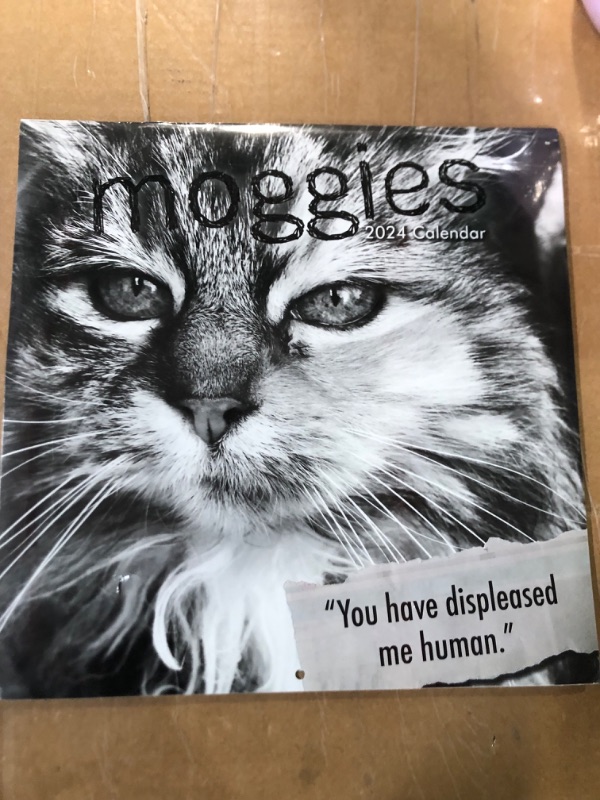 Photo 1 of 2024 Square Wall Calendar, Moggies, 16-Month Humor Theme with 180 Reminder Stickers (12 x 12 In)