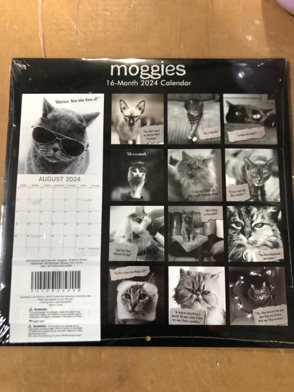 Photo 1 of 2024 Square Wall Calendar, Moggies, 16-Month Humor Theme with 180 Reminder Stickers (12 x 12 In)