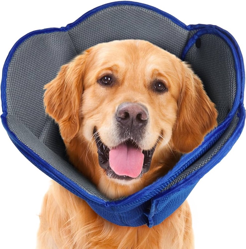 Photo 1 of IDOMIK Dog Cone for Dogs After Surgery XL