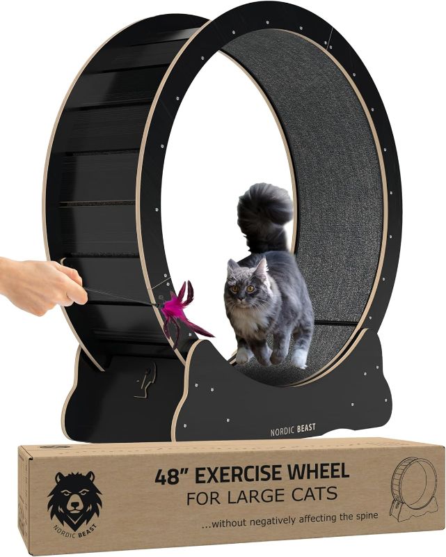 Photo 1 of (READ FULL POST) 48'' Large Cat Wheel – Size Which Doesn't Negatively Affect Cat's Spine – Cat Wheel, Cat Exercise Wheel Indoor, Cat Wheels for Indoor Cats, Cat Treadmill for Indoor Cats
