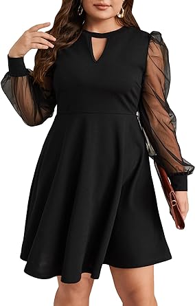 Photo 1 of ** similar to image**
WDIRARA Women's Plus Size Sheer Mesh Long Sleeve A Line Flared Elegant Mini Dress