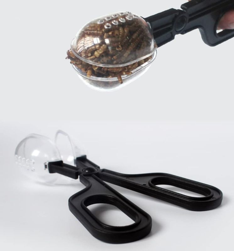 Photo 1 of Feeding Tool, Stainless Steel Long Feeding Tongs, Reptile Feeding Clamp Reptile Poop Scoop for Hedgehog, Hamsters, Guinea Pig, Rat, Lizard and Other Small Animals Supplies