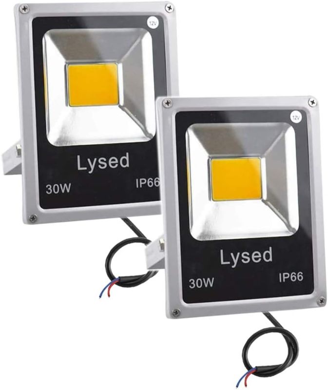 Photo 1 of 12 Volt Flood Light Bowfishing Lights 30W Low Voltage Flood Lights Outdoor IP66 Waterproof (Warm Light 2Pack)
