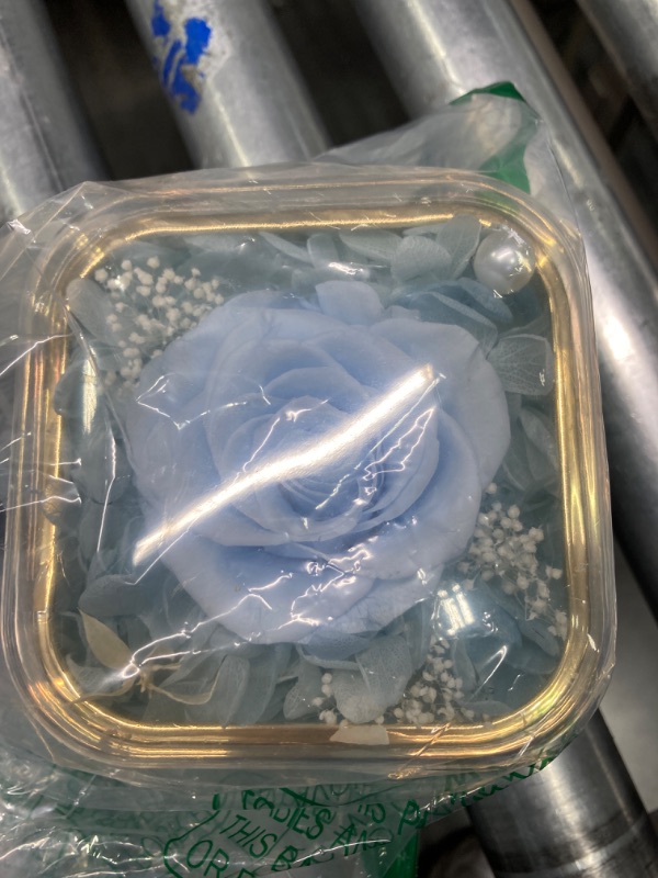 Photo 4 of *** DAMAGED****Mothers Day Rose Gifts for Mom Grandma, Preserved Real Roses with Necklace for Mom Grandma Wife, Birthday Gifts for Women Mom Girlfriend Wife Her, Romantic Eternal Flower for Mothers Day-Light Blue Light-blue