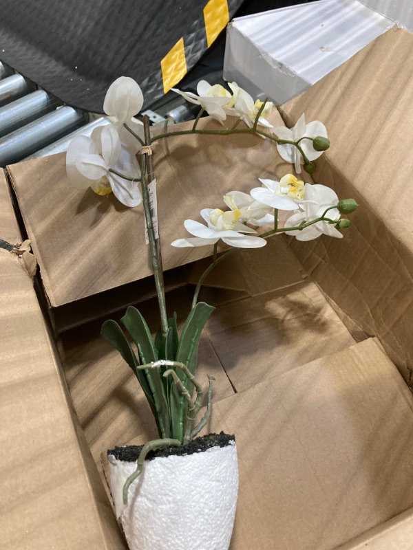 Photo 3 of Mikasa Artificial Orchid in Pot, Real Touch Phalaenopsis Orchid, Faux Floral Décor for Wedding, Home, Office, Party, Hotel, Salon, 22-Inch, White/Yellow