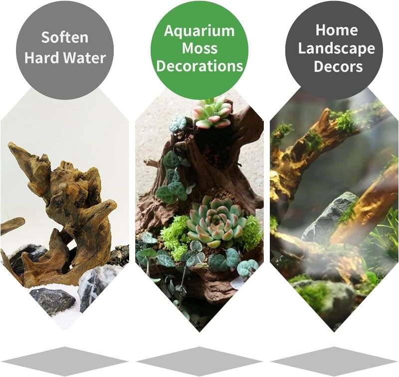 Photo 1 of  4 PC Driftwood Branches Aquarium Wood Decoration Natural Fish Tank Habitat Decor Wood for Lizard Assorted Size,Small
