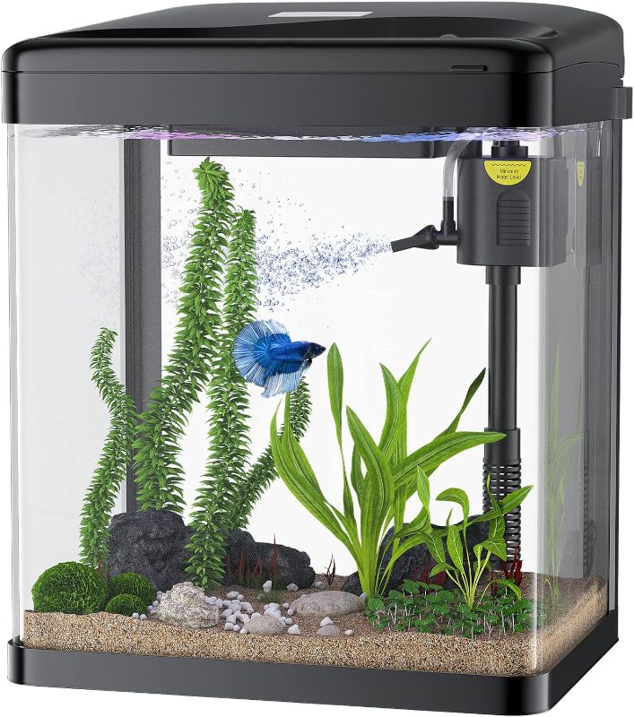 Photo 1 of 2 Gallon Fish Tank, Glass Aquarium with Filter Light, Small Fish Aquarium Starter Kit for Betta Goldfish Guppy Shrimp