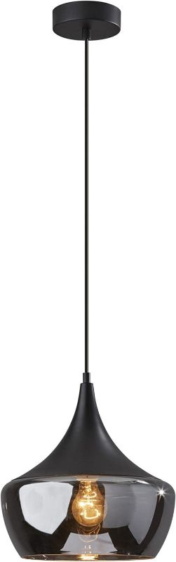 Photo 1 of Adesso Home 2141-01 Transitional Pendant from Eliza Collection in Black Finish, 12.00 inches
