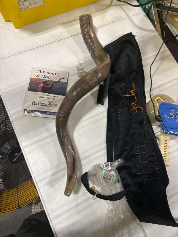 Photo 2 of HalleluYAH Original Kosher Half-Polished Kudu Shofar From Israel 35"-39"