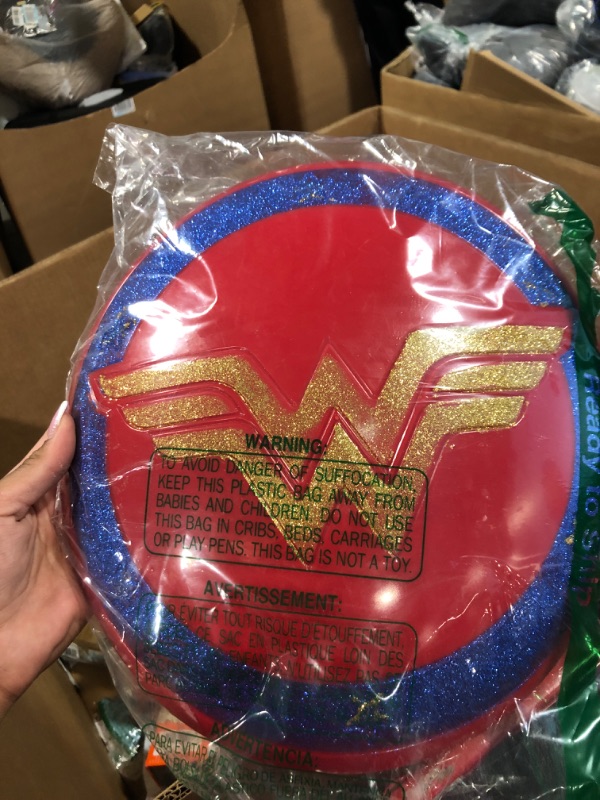 Photo 2 of DC Super Hero Girls Wonder Woman Shield NS Shield