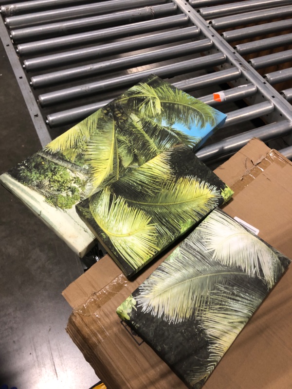 Photo 1 of 3 pc Beach/Tree Canvas