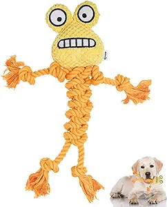Photo 1 of Qonline Yellow Frog Dog Toy, Stuffed Dog Toy, Cute Plush Head Squeaker Toy, Dog Rope Toy,Fetch and Tug Toy for Small Medium Dogs 