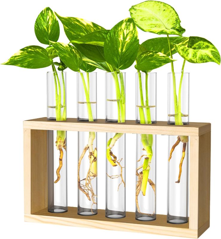 Photo 1 of  Wall Mounted Hanging Plants Terrariumin Test Tube Flower Bud Tabletop Glass Wooden Stand with 5 Test Tube Perfect for Propagating Hydroponic Plants Home Garden Wedding Decoration-Log