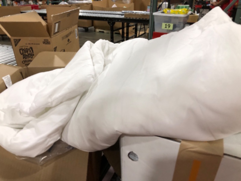 Photo 1 of Basic Amazon Comforter (82X86in) White