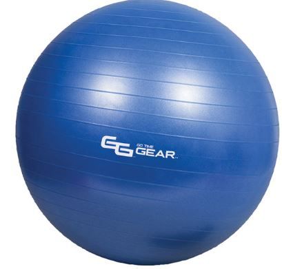 Photo 1 of Go Time Gear Exercise Ball (Gray)
