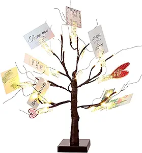 Photo 1 of Money Holder Tree Present Card Holder, LED Birch Twig Tree Lights Tabletop, Display Tree with 12 Clear Clips for Christmas, Memo, Present Card, Photo, Wedding (Brown, Warm White,Classic Style) 