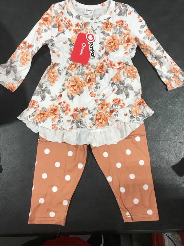 Photo 1 of [Size 9-12mo] PATPAT Baby Girl Clothes Set Long Sleeve Infant Fall Outfits Toddler Tops and Pants Set