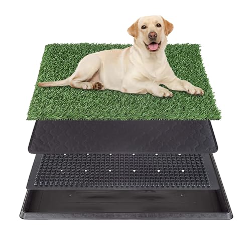 Photo 1 of Roxxam Artificial Puppy Grass Pad | Fake Grass for Dog Potty Pad | Indoor Artificial pet Grass Pee, Potty Training Pad, Outdoor | 4 Pack Turf Dog Grass Pad Patch Mat Pee Pad with Full Tray for Puppy