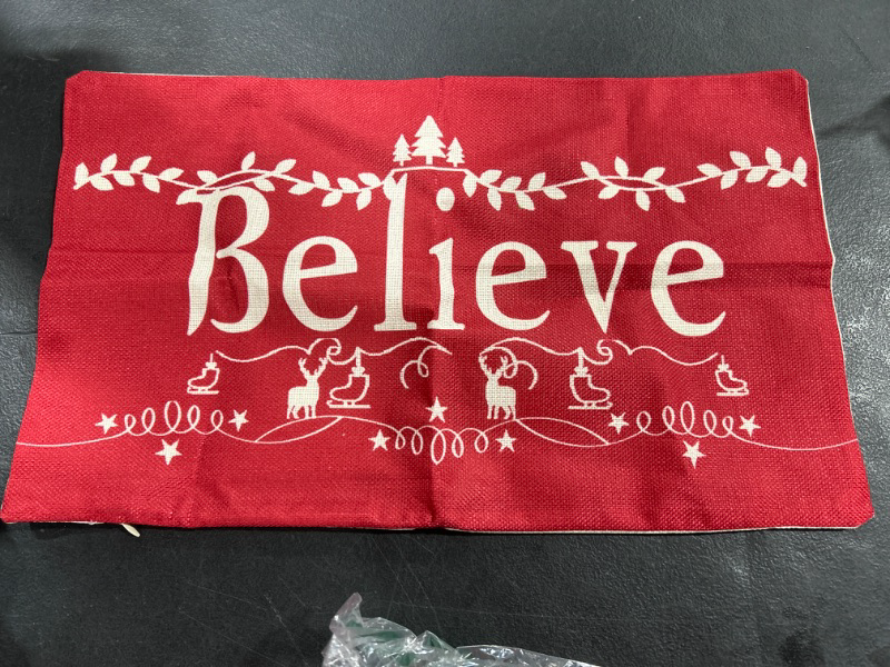 Photo 1 of Believe Pillow Cover 