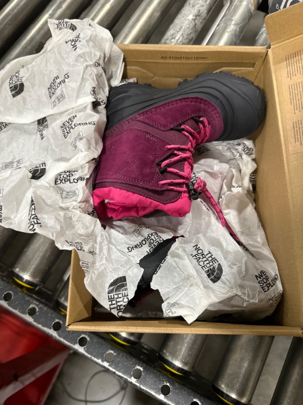 Photo 2 of The North Face Kids Alpenglow V Waterproof (Toddler/Little Kid/Big Kid) (Boysenberry/TNF Black) Kids Shoes US 12
