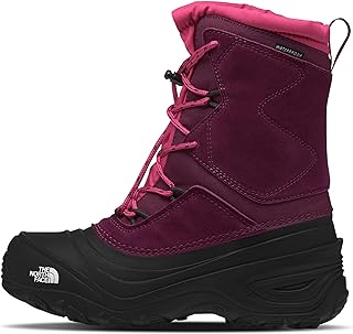 Photo 1 of The North Face Kids Alpenglow V Waterproof (Toddler/Little Kid/Big Kid) (Boysenberry/TNF Black) Kids Shoes US 12
