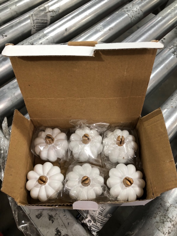 Photo 1 of Kate Aspen Rustic Pumpkin, Thanksgiving Table Décor, Fall Themed Weddings, White White Pumpkin Placecard Holders