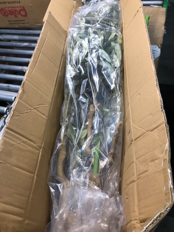 Photo 1 of **USED** Nafresh Tall Faux Olive Tree?8ft?96in? Realistic Potted Silk Artificial Olive Tree? Fake Olive Trees Indoor with Green Leaves and Big Fruits for Home Office Living Room Stairs Patio Decor. 1 8ft