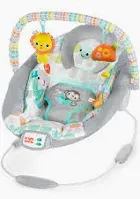 Photo 1 of Bright Starts Comfy Baby Bouncer Soothing Vibrations Infant Seat - Taggies, Music, Removable -Toy Bar, 0-6 Months Up to 20 lbs