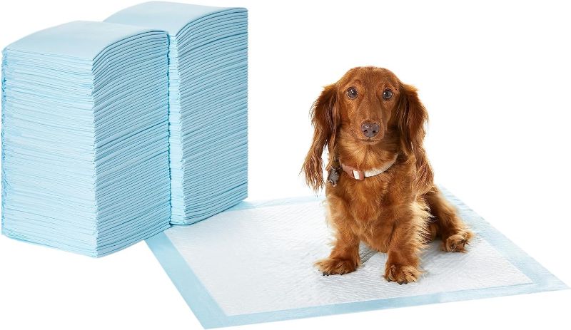 Photo 1 of Amazon Basics Leak-Proof, 5-Layer, Scented Dog Pee Pads for Potty Training, 22x22 inches-Pack of 100 100 Count Regular Scented