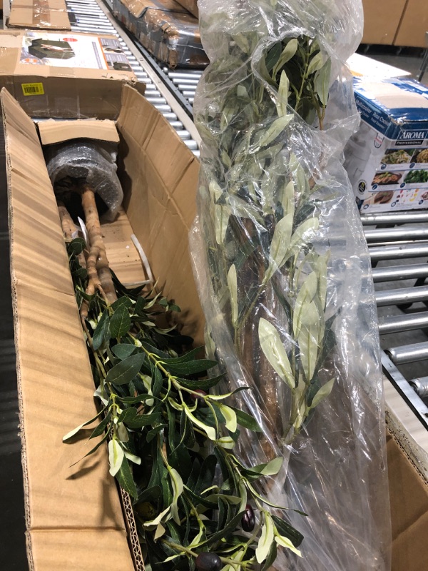 Photo 3 of ***1 IS BROKEN***

Bellacat Faux Olive Tree 6ft?Olive Trees Artificial Indoor with Natural Wood Trunk and Realistic Leaves and Fruits. 6 Feet(72in) Fake Olive Tree for Home House Office Décor.2 Pack. 1 6ft-2pack