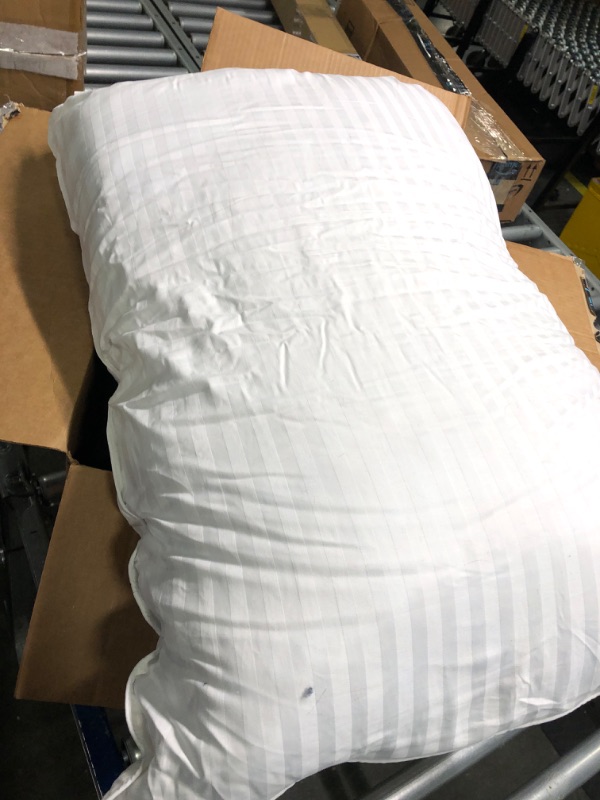 Photo 1 of 2 Used Pillow 20 x 26 in 