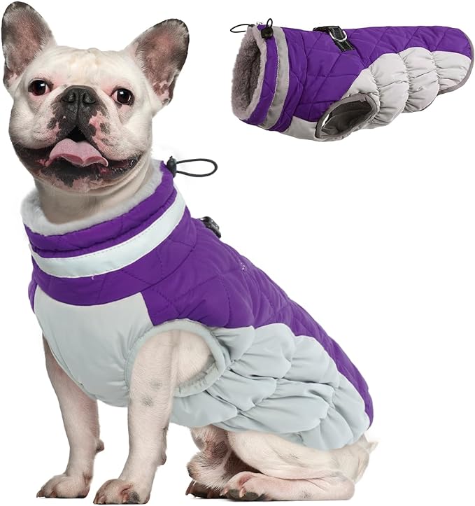 Photo 1 of ** SMALL DOG** Dog Coat, Fleece Dog Vest with Harness Built in, Dog Cold Weather Coats, Dog Snowsuit Waterproof, Dog Coats for Small Dogs, Dog Winter Jacket Windproof, Dog Puffer Jacket Purple S