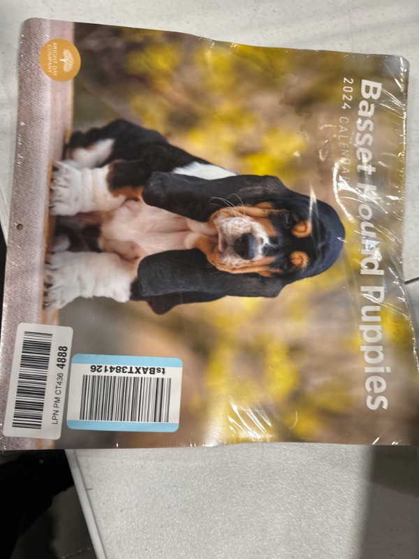 Photo 2 of 2024 Basset Hound Puppies Monthly Wall Calendar by Bright Day, 12 x 12 Inch Cute Dog Breed Gift Hush Puppies