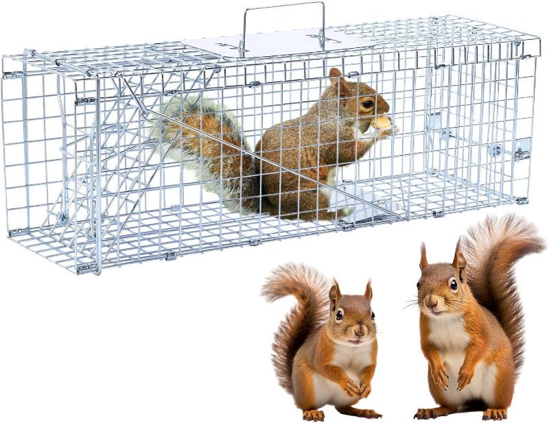 Photo 1 of 24" Live Animal Trap, Humane Animal Trap for Stray Cats up to 5.5 pounds, Raccoons, Squirrels, Skunks, Moles, Marmots, Armadillos, Rabbits, Stainless Steel Folding with Pedal Trigger