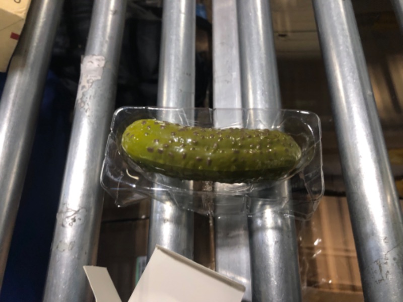 Photo 1 of DR DINGUS Yodeling Pickle - Dill-lightful Musical Mischief - Make Anyone Laugh - Endless Singing Entertainment - Best Gag Gift for Friends Family Coworkers